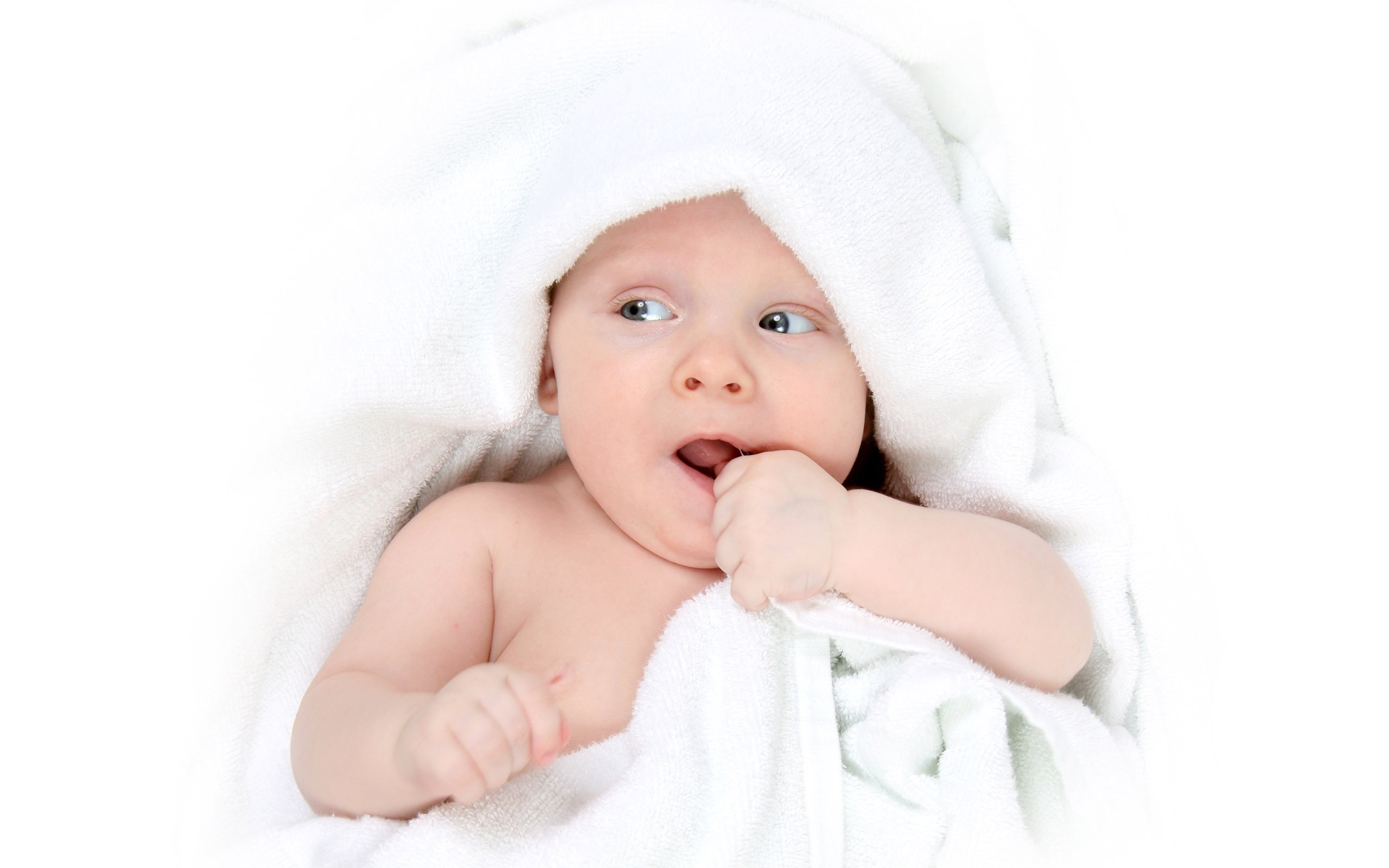 银川借卵试管年龄与试管婴儿成功率
